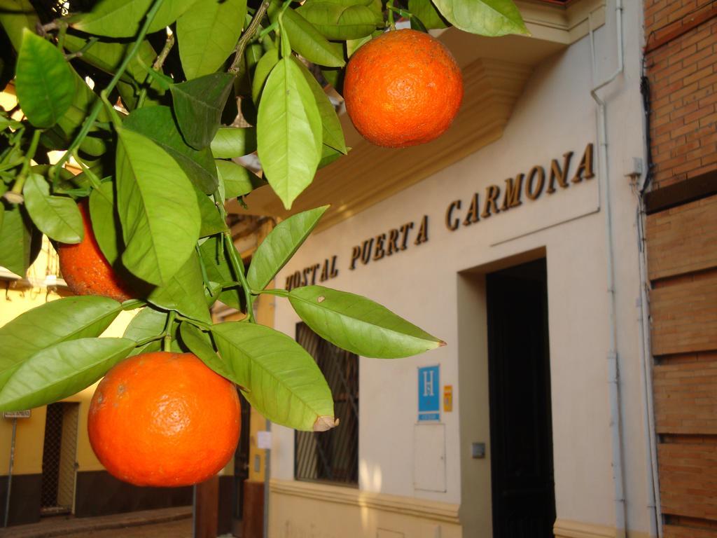 Hostal Puerta Carmona Seville Exterior photo